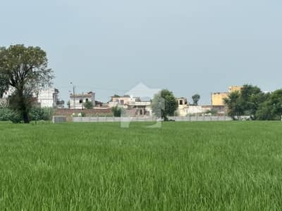 پنڈوکے لاہور میں 10 کنال صنعتی زمین 4.24 کروڑ میں برائے فروخت۔