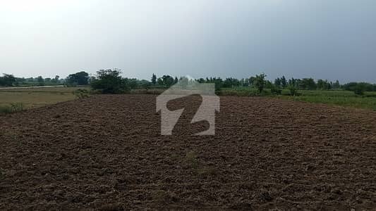 جڑانوالہ روڈ فیصل آباد میں 12 کنال زرعی زمین 1.5 کروڑ میں برائے فروخت۔