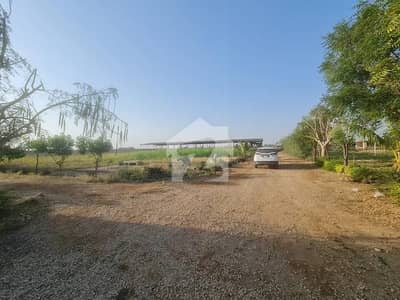 9680 Square Yards Agricultural Land For Sale In Bin Qasim Town