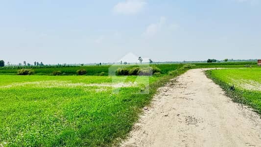 بیدیاں روڈ لاہور میں 12 کنال رہائشی پلاٹ 1.8 کروڑ میں برائے فروخت۔