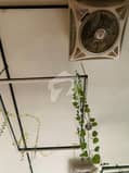 13 13