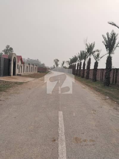 4 Kanal Fram House Land For Sale On Beadian Road Lahore - Rejected