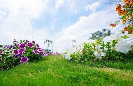 SECTOR G KANAL PLOT NEAR RINGROAD