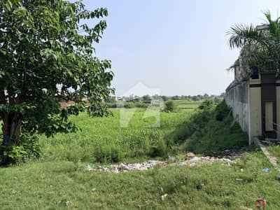30 Marla Prime Land for Sale Langreali, Sialkot