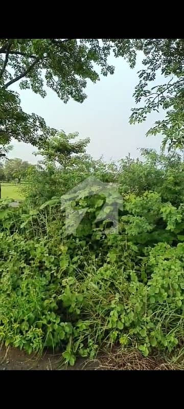 5 Marla Plot for Sale in Phase 9 Town B Block