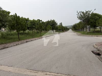 Gulberg Green Block D10 Kanal Developed Possession Farmhouse 60series Available For sale