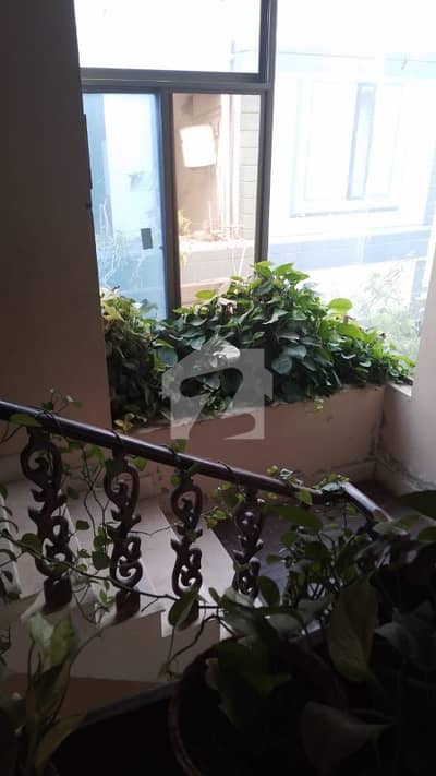 1000yards beautiful portion for rent in very reasonable rental price