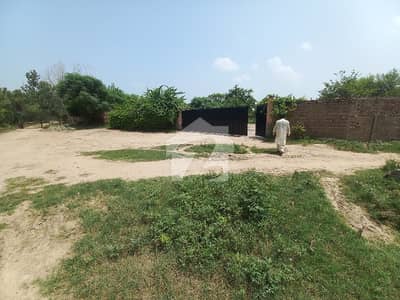 BEST OPERTUINTY RUNING DAIRY FARM FACING CANAL FOR SALE ALL BUILDING COMPLETE REAL PICTURE MORE DETAILS CONTACT ME BEST OPERTUINTY RUNING DAIRY FARM FACING CANAL FOR SALE ALL BUILDING COMPLETE REAL PICTURE MORE DETAILS CONTACT ME