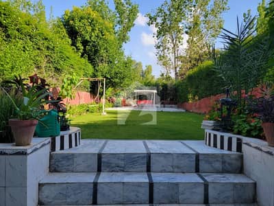 Beautiful Furnished Upper Portion