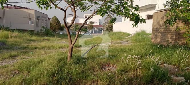 بحریہ ٹاؤن فیز 8 ۔ بلاک اے بحریہ ٹاؤن فیز 8,بحریہ ٹاؤن راولپنڈی,راولپنڈی میں 1 کنال رہائشی پلاٹ 3.65 کروڑ میں برائے فروخت۔