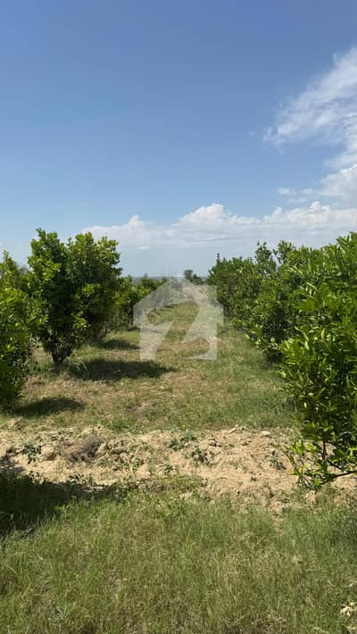 580 Kanal Agricultural Land