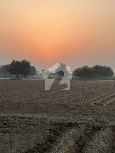 1 Kanal Residential Pair Plot for Sale Babar Block