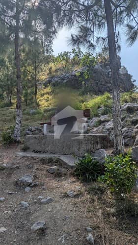 Plot # 64 Sale For Future Investment And Living.  (Phase 2 Block A)