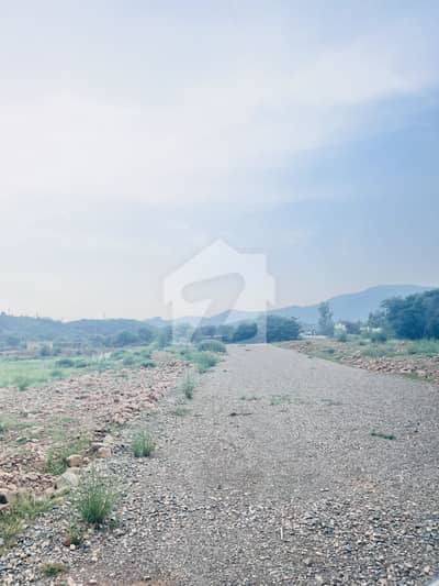 C16 Double road Front open plot