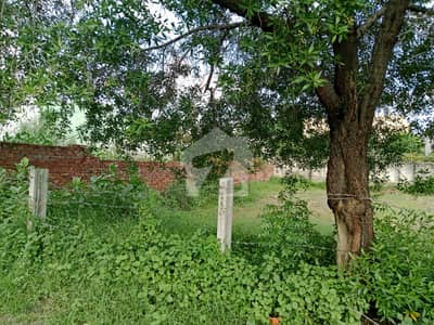 ٹی آئی پی ہاؤسنگ سوسائٹی ۔ فیز2 ٹی آئی پی ہاؤسنگ سوسائٹی,لاہور میں 18 مرلہ رہائشی پلاٹ 1.95 کروڑ میں برائے فروخت۔ ٹی آئی پی ہاؤسنگ سوسائٹی ۔ فیز2 ٹی آئی پی ہاؤسنگ سوسائٹی,لاہور میں 18 مرلہ رہائشی پلاٹ 1.95 کروڑ میں برائے فروخت۔