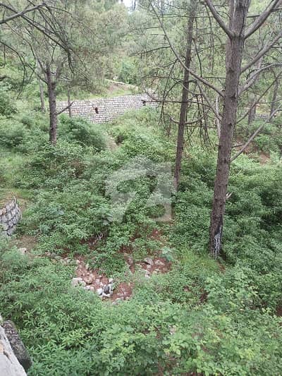 22 Kanal Beautiful Compact Piece Of Land For Sale In Pine City Phase 1 Baqabza Land With Beautiful Valley View 22 Kanal Beautiful Compact Piece Of Land For Sale In Pine City Phase 1 Baqabza Land With Beautiful Valley View