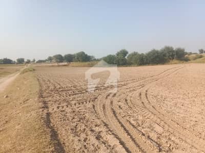 نیلا دللا چکوال میں 63 کنال زرعی زمین 2.84 کروڑ میں برائے فروخت۔