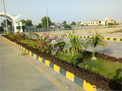 Plot For Sale With A Beautiful Location