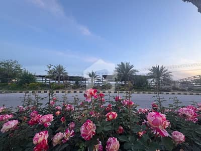 5 Marla Residential Plot For Sale Is Available In New City Phase 2