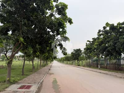 Gulberg Green Block D 10 Kanal Developed Possession Farmhouse Land Available For Sale Gulberg Green Block D 10 Kanal Developed Possession Farmhouse Land Available For Sale