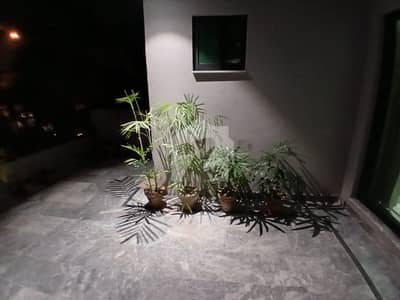 ڈی ایچ اے فیز 5 ڈی ایچ اے ڈیفینس,لاہور میں 2 کمروں کا 10 مرلہ بالائی پورشن 85.0 ہزار میں کرایہ پر دستیاب ہے۔ ڈی ایچ اے فیز 5 ڈی ایچ اے ڈیفینس,لاہور میں 2 کمروں کا 10 مرلہ بالائی پورشن 85.0 ہزار میں کرایہ پر دستیاب ہے۔