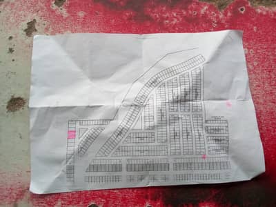 2 ten merla twin plots gift for basement lover