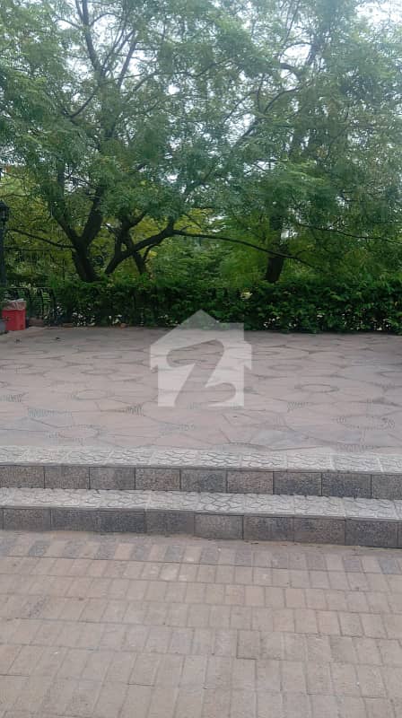 Commercial Space for Rent in F-7, Islamabad Commercial Space for Rent in F-7, Islamabad