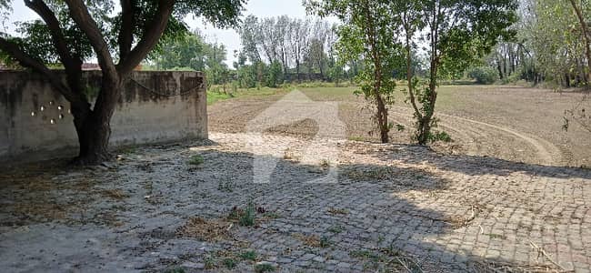 Prime location On Barki Road Dairy Farm For sale with complete boundary wall shed pool Residential Rooms Prime location On Barki Road Dairy Farm For sale with complete boundary wall shed pool Residential Rooms