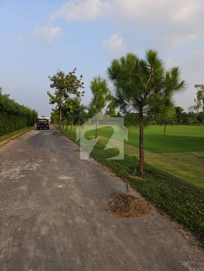 2 & 4 Kanal Residential Farmhouse Plots for Sale Mouza Thethar, Bedian Road