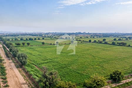 1 Kanal Farmhouse Land for Sale | Main Bedian Road | Near Ring Road | 10 Min from DHA Phase 6 & Dolmen Mall 1 Kanal Farmhouse Land for Sale | Main Bedian Road | Near Ring Road | 10 Min from DHA Phase 6 & Dolmen Mall