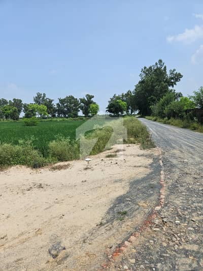 2 & 4 Kanal Residential Farmhouse Plots for Sale Main Bedian Road