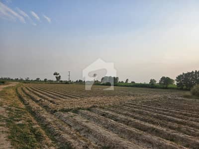 2 & 4,8 Kanal Residential Farmhouse Plots for Sale Mouza Bahubola, Bedian Road