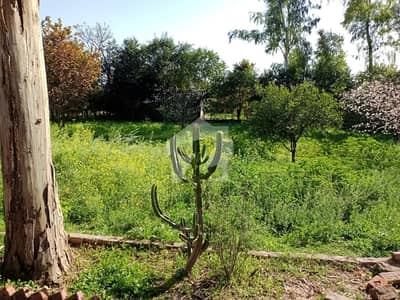 Gultiaz Khan Farm House Available For sale In Chak Shahzad