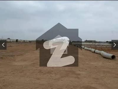 فریدی نیازی سوسائٹی سکیم 33 - سیکٹر 20-اے,سکیم 33,کراچی میں 5 مرلہ رہائشی پلاٹ 1.35 کروڑ میں برائے فروخت۔ فریدی نیازی سوسائٹی سکیم 33 - سیکٹر 20-اے,سکیم 33,کراچی میں 5 مرلہ رہائشی پلاٹ 1.35 کروڑ میں برائے فروخت۔