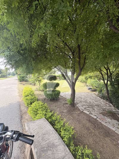 18 Marla Plot Available For Sale