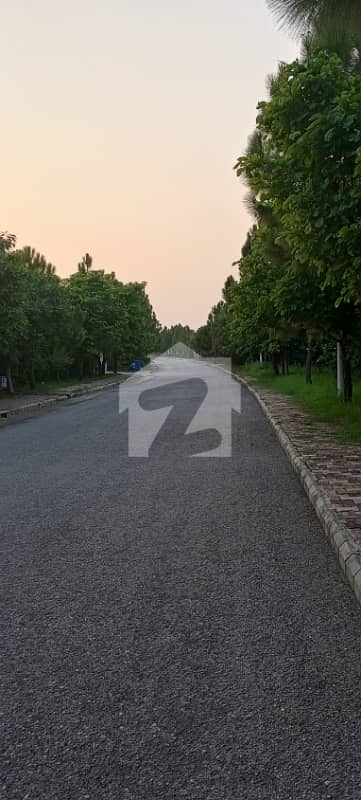 Lake Facing 4 Kanal Farm House Plot for Sale