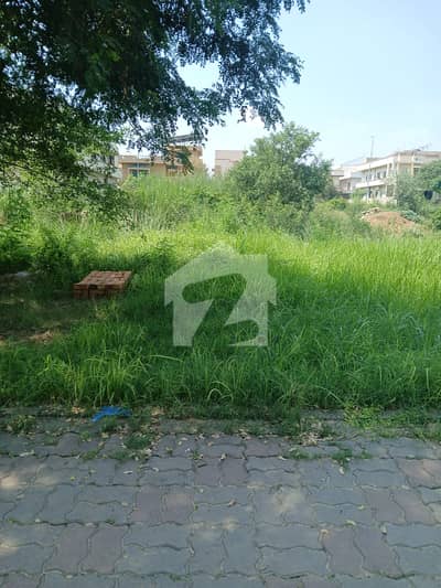 نیول اینکریج - بلاک ڈی نیول اینکریج,اسلام آباد میں 1 کنال رہائشی پلاٹ 2.9 کروڑ میں برائے فروخت۔ نیول اینکریج - بلاک ڈی نیول اینکریج,اسلام آباد میں 1 کنال رہائشی پلاٹ 2.9 کروڑ میں برائے فروخت۔
