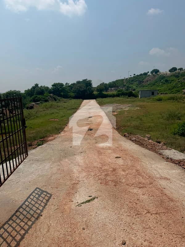Bharakahu Phulgraan Plot For Sale Bharakahu Phulgraan Plot For Sale