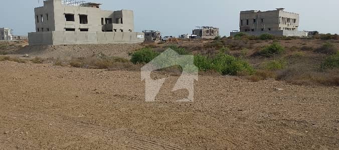 Phase 8 500 Yards Plot For Sale