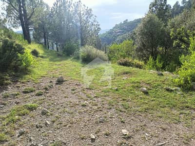 Land For On Main Road Pir Sohawa Near By Pine City Plot For Sale