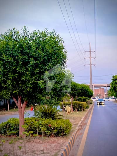 5 Marla Plot Available For Sale In RMT Zone 1 5 Marla Plot Available For Sale In RMT Zone 1