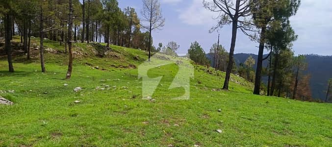 Beautiful 42 Kanal Land On Mountain Top Plot For Sale