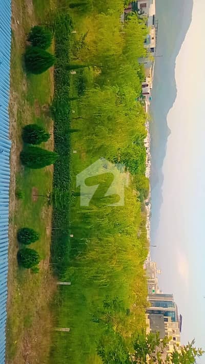 Luxury Separate Kanal Upper Portion Available For Rent D-12