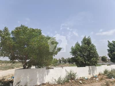 LEASE Plot 40 Ft Road