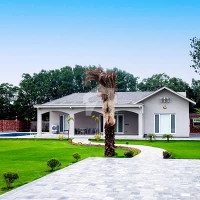 Alcazar Farmhouse Land On Main Bedian Road 60 Lac Per Kanal | Cash Deal