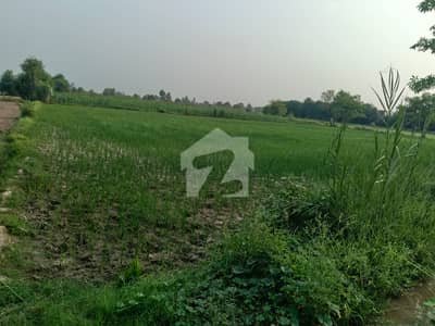 مُصطفی آباد للیانی لاہور میں 9 کنال رہائشی پلاٹ 5.4 کروڑ میں برائے فروخت۔