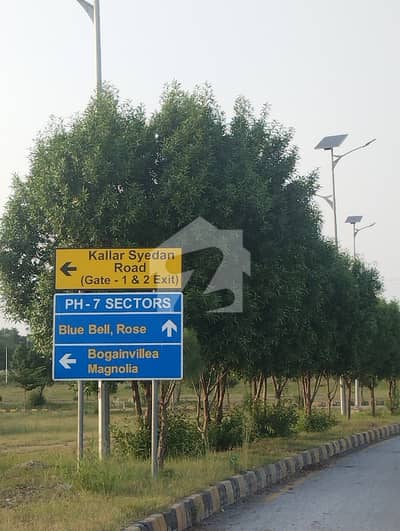 magnolia sector
