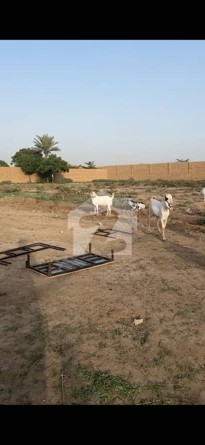 Best For Farm House And Cattle Farms