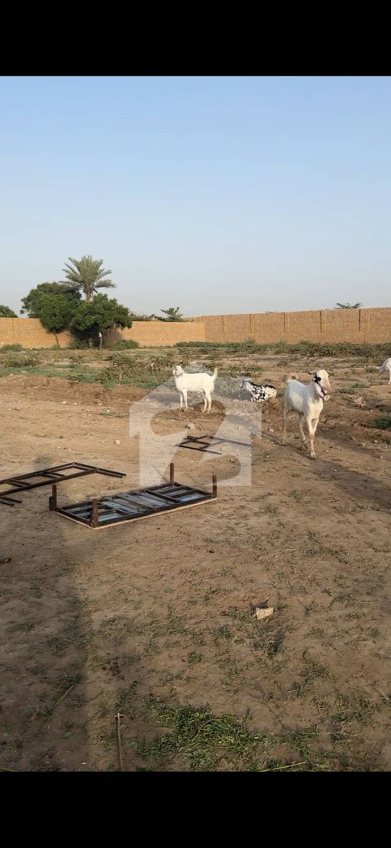 Best For Farm House And Cattle Farms Best For Farm House And Cattle Farms