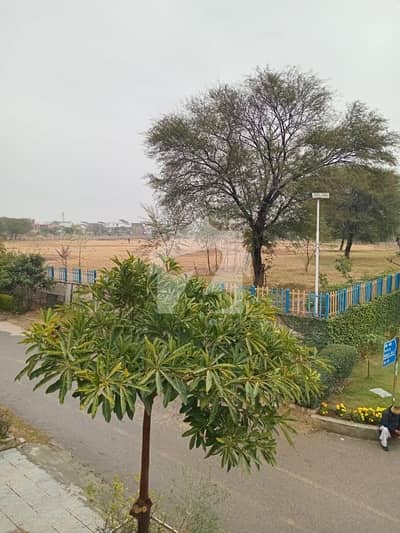 G 14 / 2 Street 88 Ideal Location Solid Land Plot For Sale Ideal Location Cutting Area Plot Ready For Construction Your Own Dreams